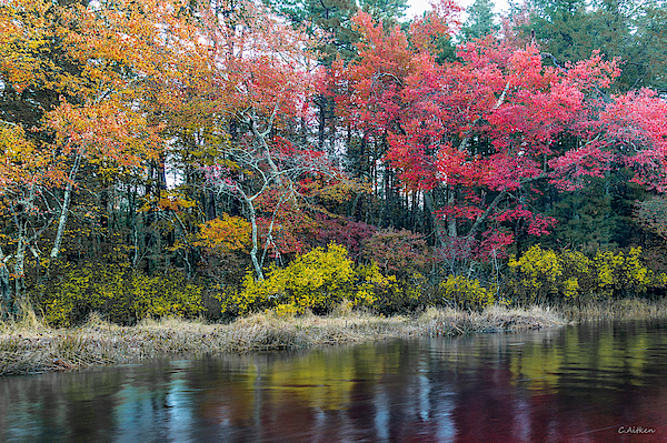 Autumn on the River by Charles Aitken Autumn on the River by Charles Aitken